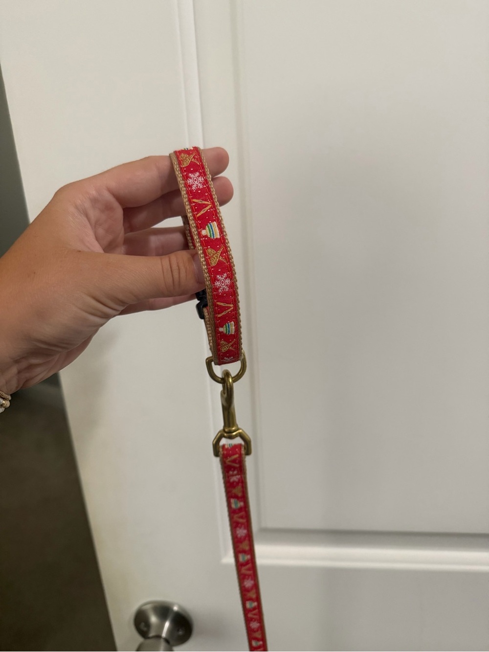 Festive Red Dog Leash with Gold Hardware